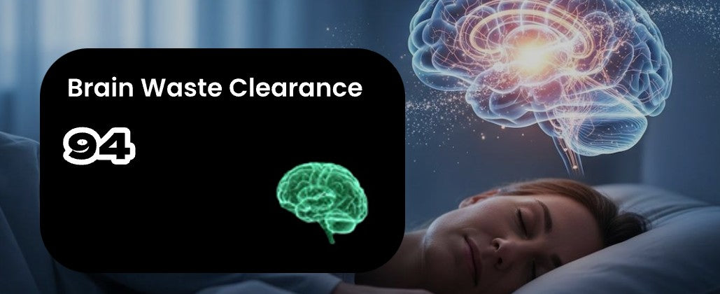 Does your brain "clean up" while you sleep?